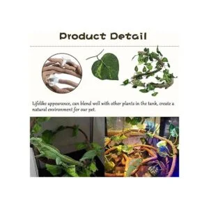 Tfwadmx Accesorios para tanque de dragón barbudo de_5