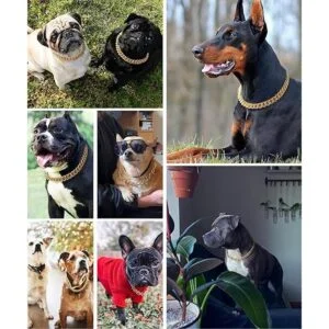 Cuban Link Dog Collar35 in15mm Wide Gold Metal Chain_5