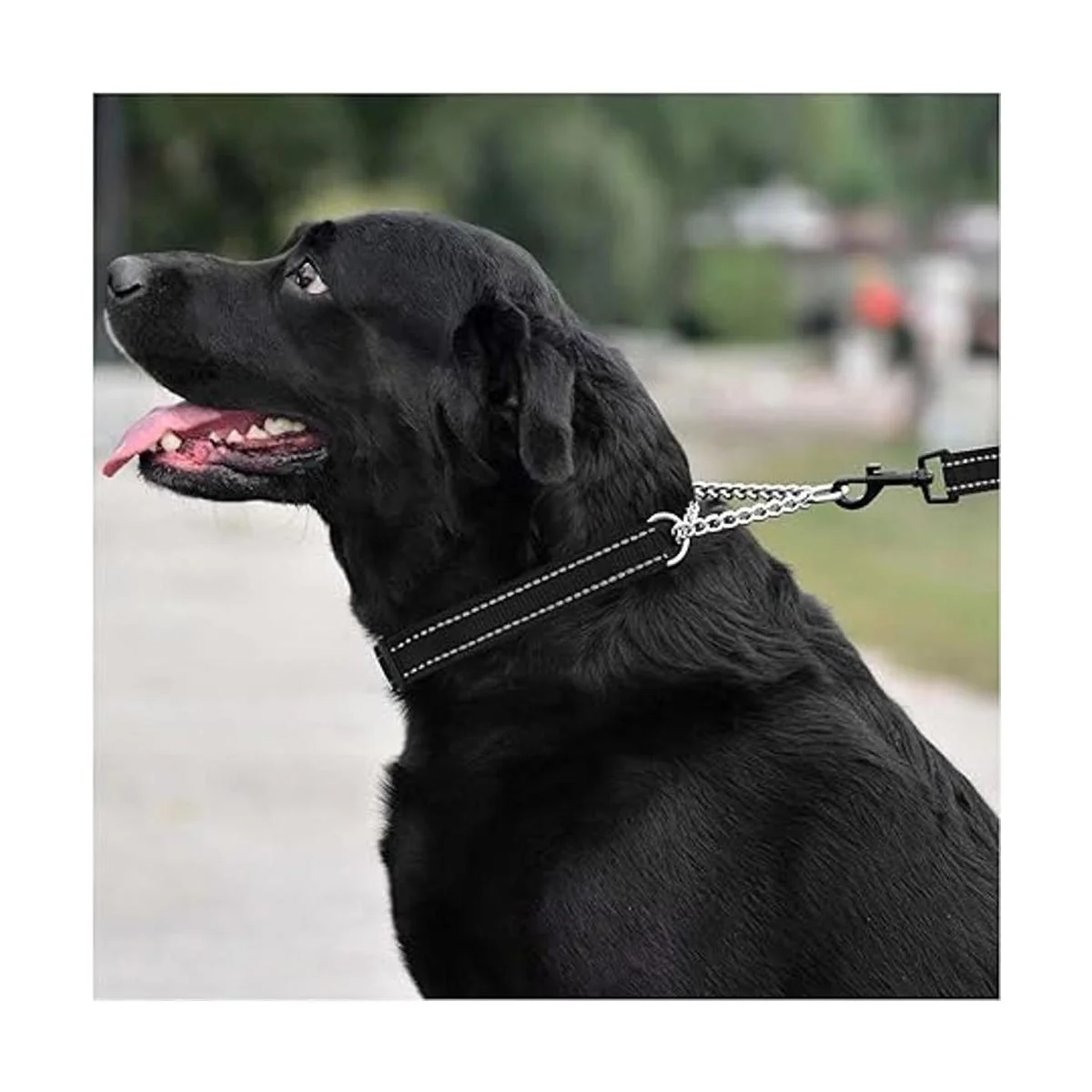 50 anillos de resorte O redondos mosquetón de 1.102 in_6