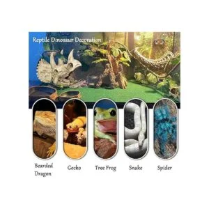 Tfwadmx Accesorios para tanque de dragón barbudo de_7