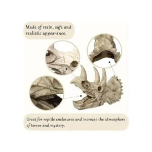 Tfwadmx Accesorios para tanque de dragón barbudo de_4