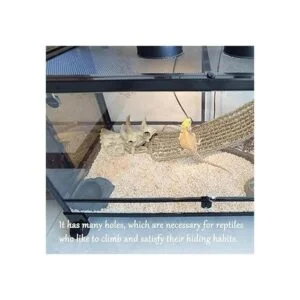 Tfwadmx Accesorios para tanque de dragón barbudo de_6