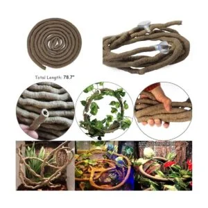 Hamiledyi Accesorios de tanque de dragón barbudo lagartija_5