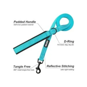 azuza Juego de correa y collar acolchado reflectante para_5