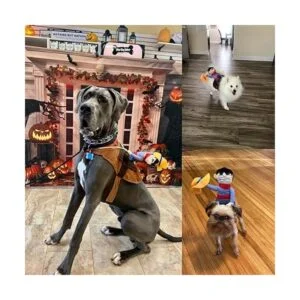 ISMARTEN Disfraz de vaquero para perro disfraz de_6
