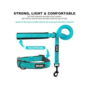 azuza Juego de correa y collar acolchado reflectante para_2