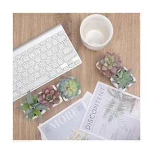 Funarty juego de 5 plantas suculentas artificiales en_5