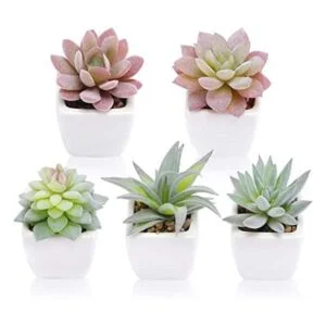Funarty juego de 5 plantas suculentas artificiales en_1