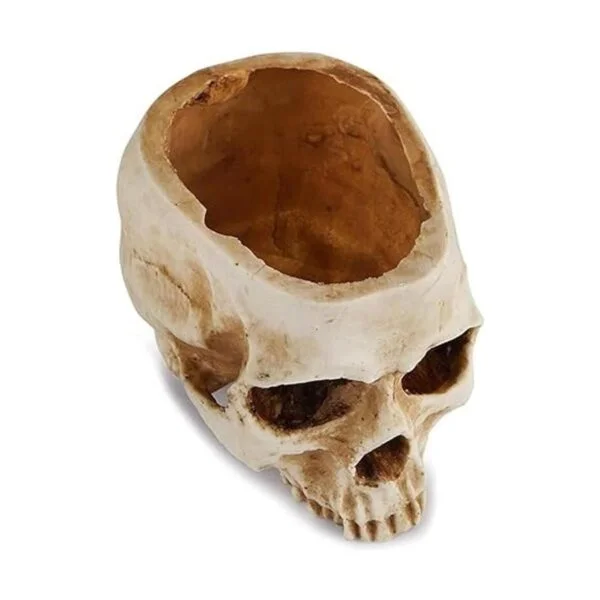 Readaeer Maceta de resina con forma de calavera para_6