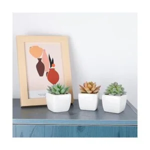 Funarty juego de 5 plantas suculentas artificiales en_7