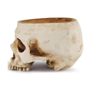 Readaeer Maceta de resina con forma de calavera para_5
