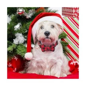 ADOGGYGO Collar de perro de Navidad con lazo collares_3
