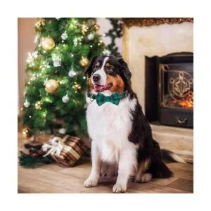 ADOGGYGO Collar de perro de Navidad con lazo collares_4