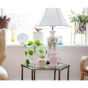 The Golden Girls Sophia Face Mini Maceta de cerámica_6