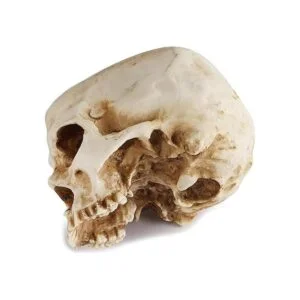 Readaeer Maceta de resina con forma de calavera para_7