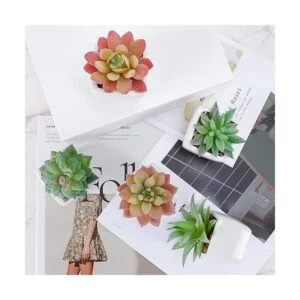 Funarty juego de 5 plantas suculentas artificiales en_6