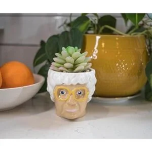 The Golden Girls Sophia Face Mini Maceta de cerámica_5