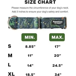 Downtown Pet Supply Collares de entrenamiento para perros_5