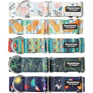 Downtown Pet Supply Collares de entrenamiento para perros_6