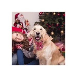 ADOGGYGO Paquete de 2 collares de Navidad para perros con_2