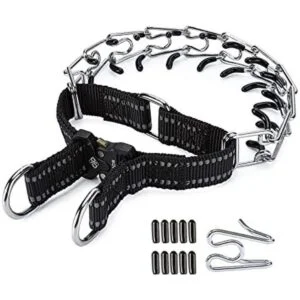 JIPIMON Collar ajustable para perros con cómoda punta de_1