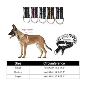 JIPIMON Collar ajustable para perros con cómoda punta de_6
