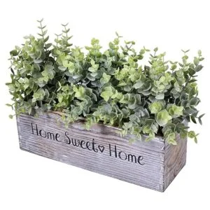 1 unidad de madera para plantas de eucalipto en maceta_3