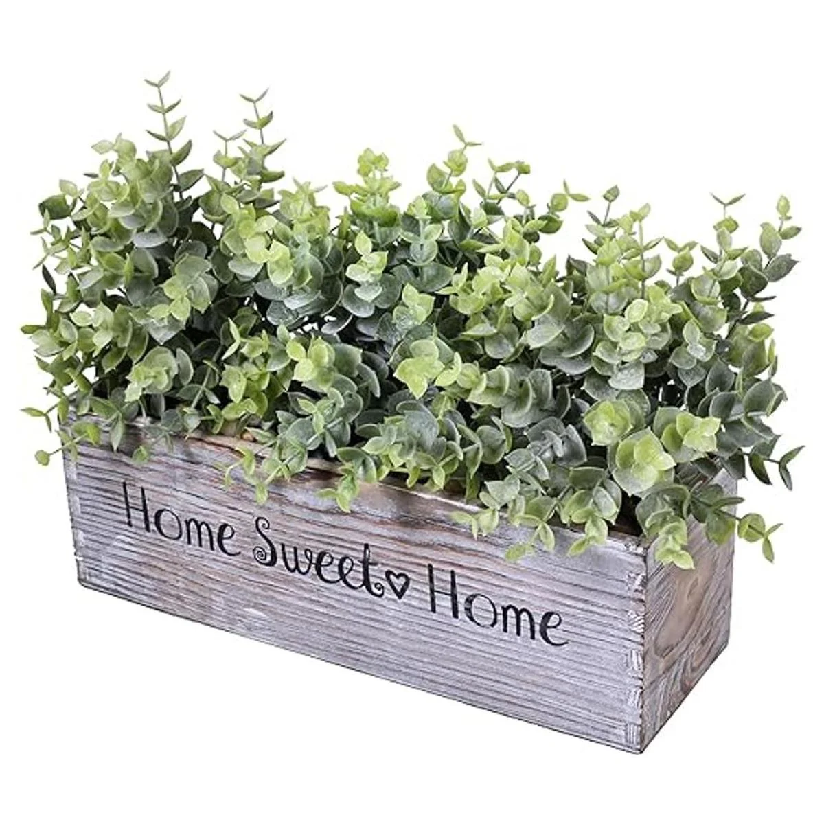 1 unidad de madera para plantas de eucalipto en maceta_3