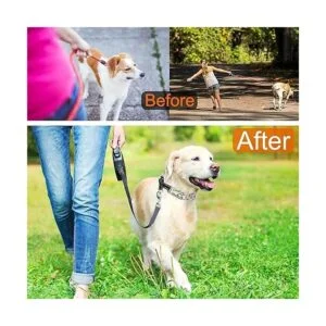 JIPIMON Collar ajustable para perros con cómoda punta de_5