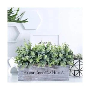 1 unidad de madera para plantas de eucalipto en maceta_5