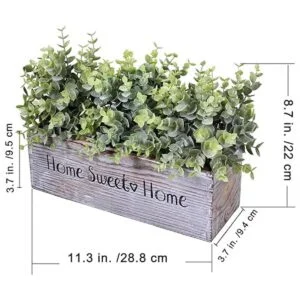 1 unidad de madera para plantas de eucalipto en maceta_2