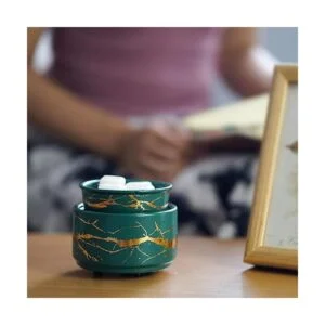 PALANCHY Calentador de cera derretida de cerámica 2 en 1_2