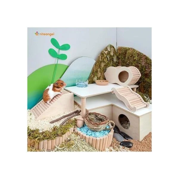 Niteangel Casa para hámster con escalera para hámsteres_4