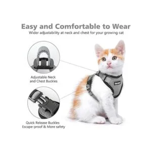 Dooradar Juego de correa y arnés para gatos_3