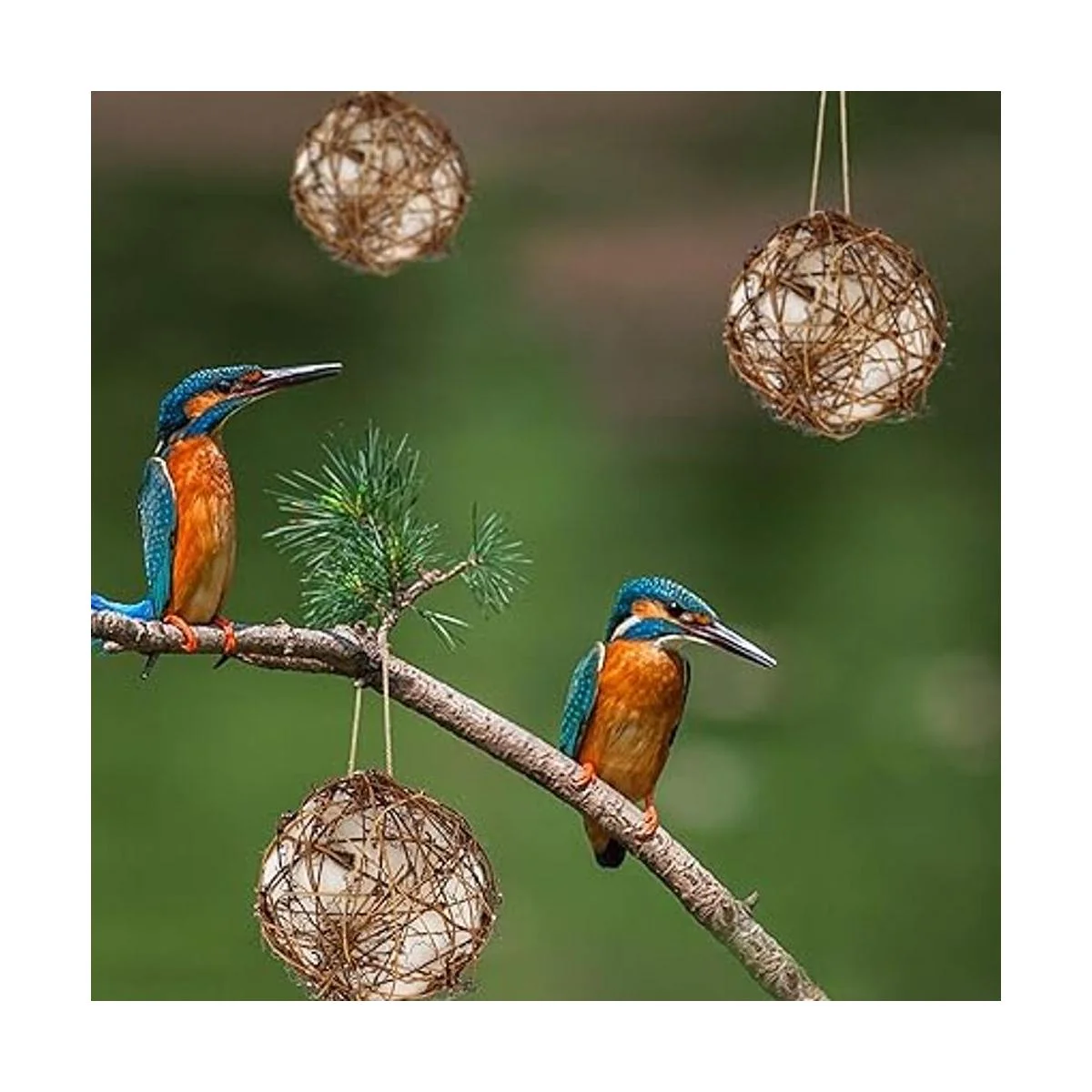 winemana Juego de 3 nideros de colibríes de globo lleno_5