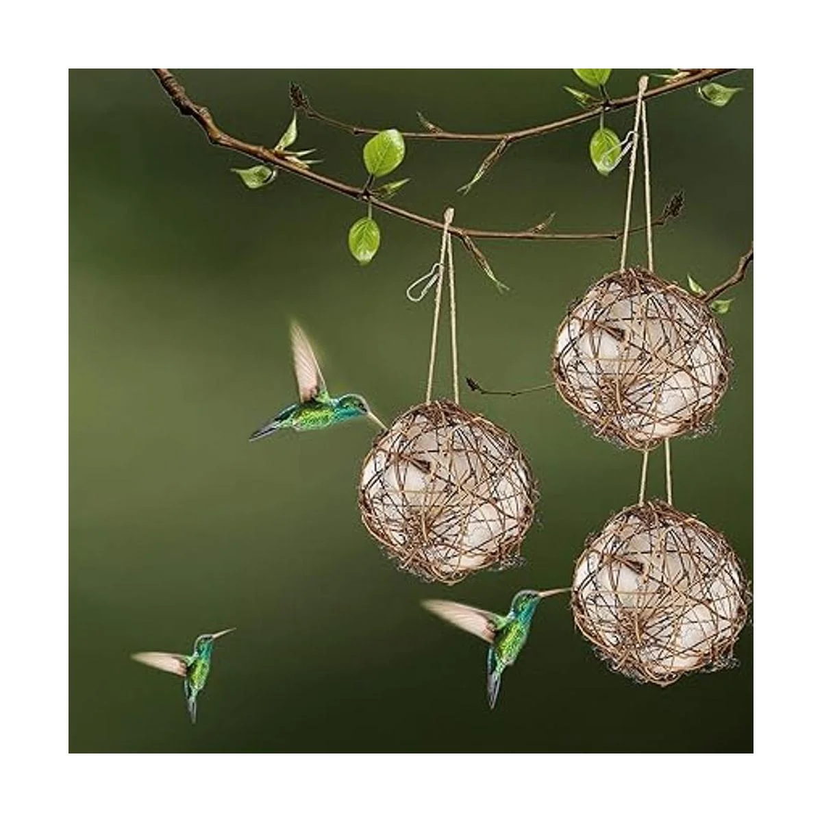 winemana Juego de 3 nideros de colibríes de globo lleno_6