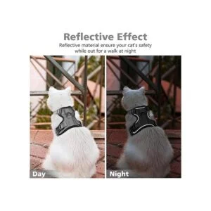 Dooradar Juego de correa y arnés para gatos_4