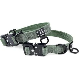 ROAM Collar para perro collar de alta calidad_6