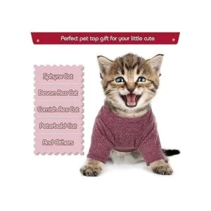 DENTRUN Sphynx Camisa sin pelo para gatos sin pelo_5