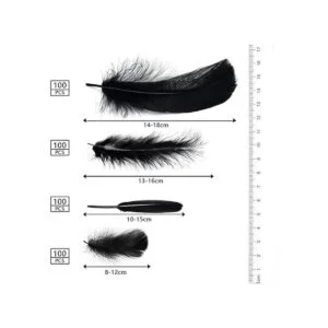 MWOOT 4 estilos surtidos de plumas para manualidades 400_3