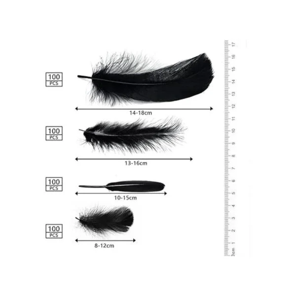 MWOOT 4 estilos surtidos de plumas para manualidades 400_3