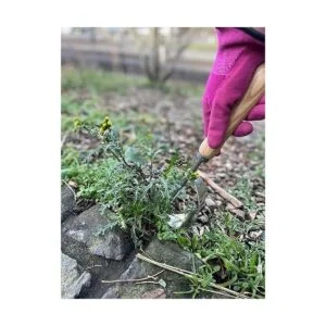 Herramienta de desmalezadora de mano Grampas La_6