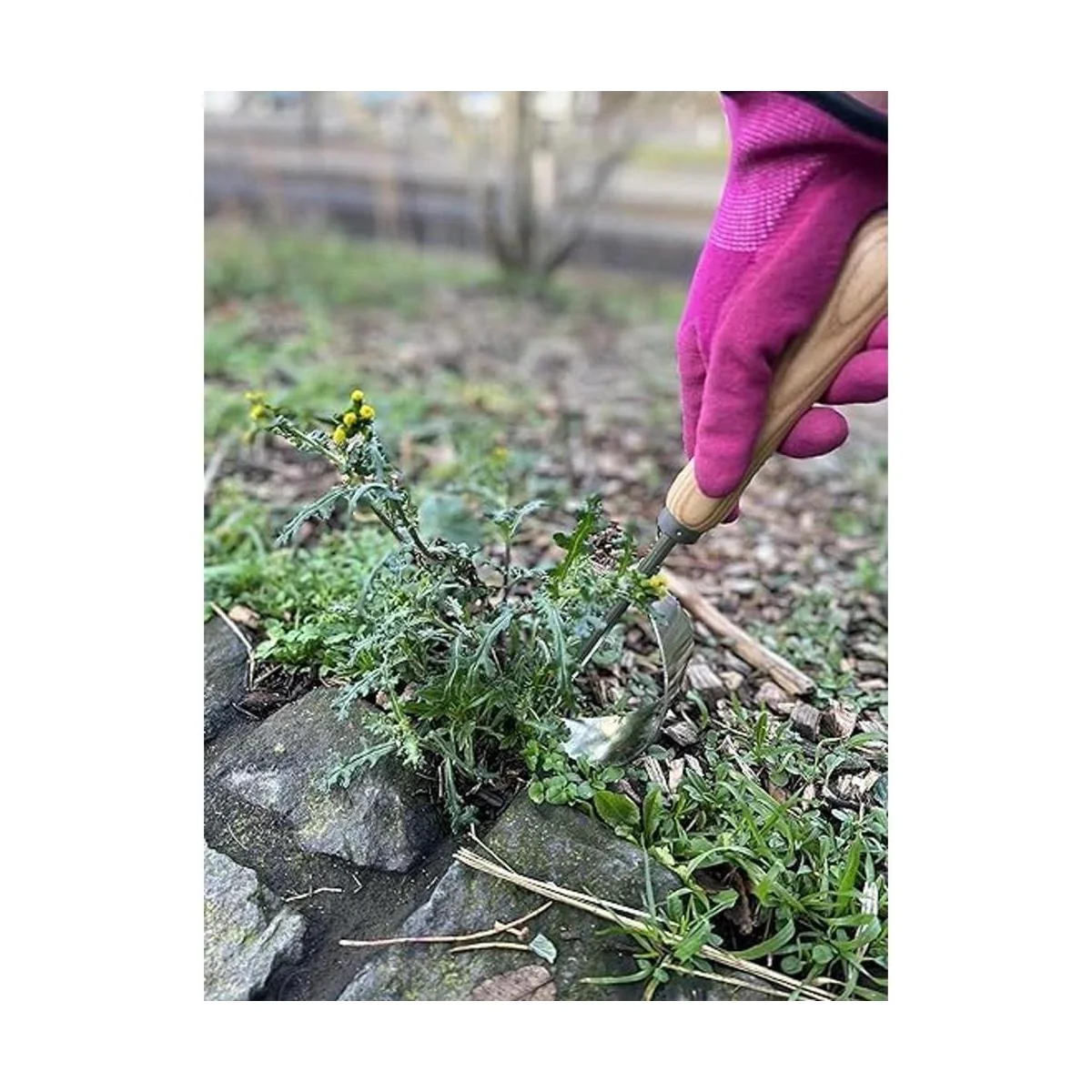 Herramienta de desmalezadora de mano Grampas La_6