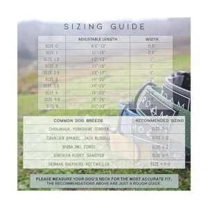 ROAM Collar para perro collar de alta calidad_5