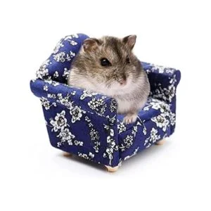 KnocKconK Hamster Mini sofá de algodón pequeño animal_1