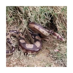 UANDME 2 figuras de serpiente falsas realistas de goma_4