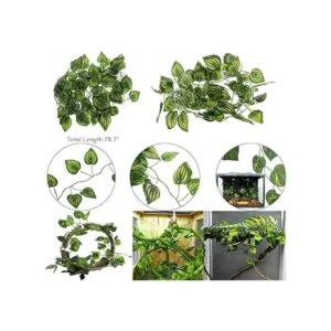 Hamiledyi Bearded Dragon Tank Accessories Lizard Large_4