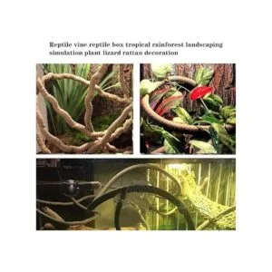 Hamiledyi Bearded Dragon Tank Accessories Lizard Large_7