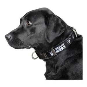 Littlearth NFL Las Vegas Raiders NFL Premium Pet Collar_2