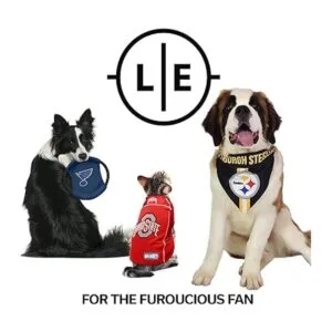 Littlearth NFL Las Vegas Raiders NFL Premium Pet Collar_5